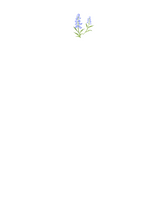 Load image into Gallery viewer, Blue Bonnet Notecard Set
