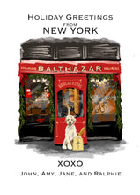 Load image into Gallery viewer, Balthazar Pet Portrait Greeting Cards
