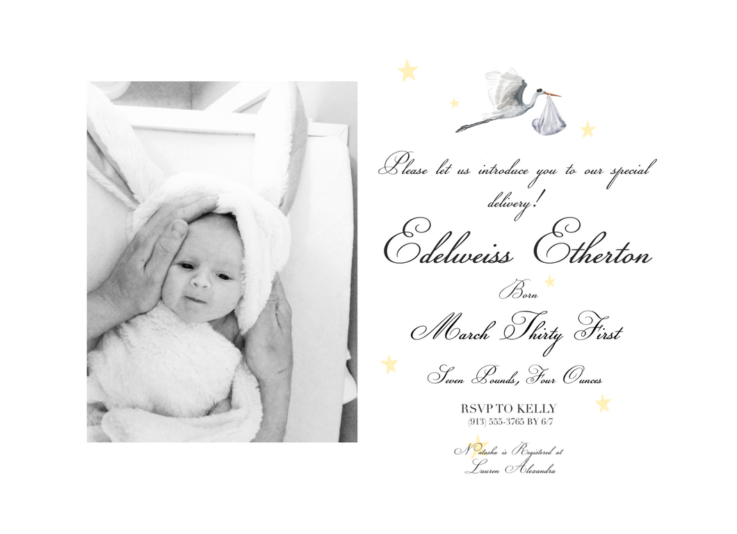 Stork Baby Announcement